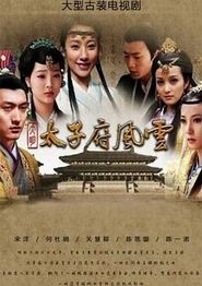 大明太子府风云