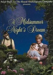 仲夏夜之梦1968