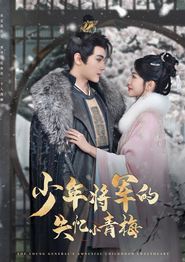 少年将军的失忆小青梅
