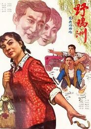 野鸭洲