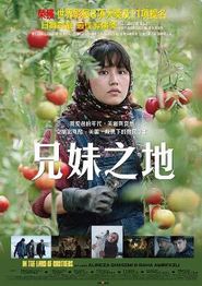 同一片土地