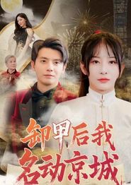 卸甲后我名动京城