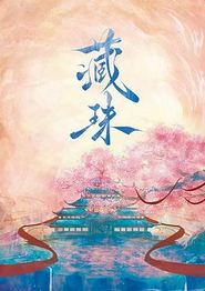 藏珠