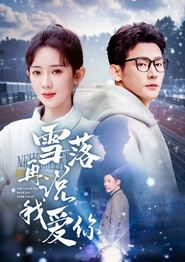雪落再说我爱你