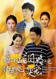 再回首闪婚之仍是心尖宠