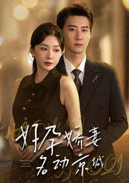 好孕娇妻名动京城