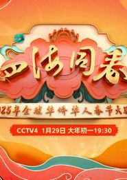 2025全球华侨华人春节大联欢