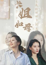长姐如母之我给妹妹当副总