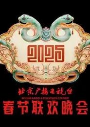 2025北京卫视春晚