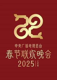 2025年中央电视台春节联欢晚会