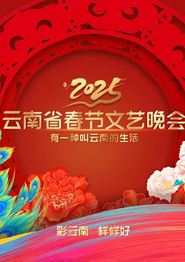 2025云南卫视春晚