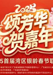 2025湾区银龄春晚