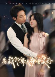 总裁他每天都想复婚
