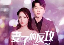 妻子的反攻之华丽逆袭