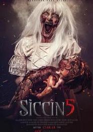 西辛5