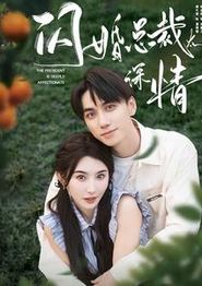 闪婚总裁太深情