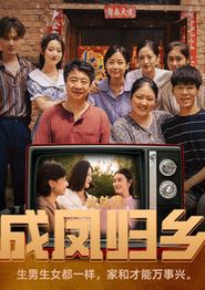 女总裁成凤归乡