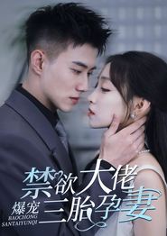 禁欲大佬爆宠三胎孕妻
