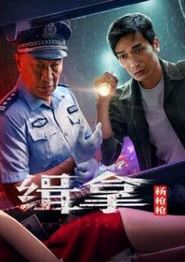 缉拿杨枪枪