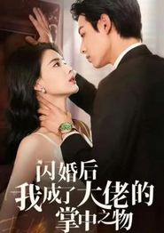 闪婚后我成了大佬的掌中之物