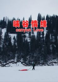 峡谷情缘