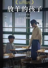 暴力谎言