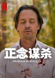 正念谋杀第一季