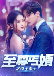 至尊傻婿之傻子拳王