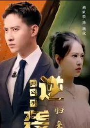 逆袭刘公子归来