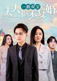 一胎双宝，夫人拒不复婚