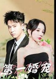 第一婚宠