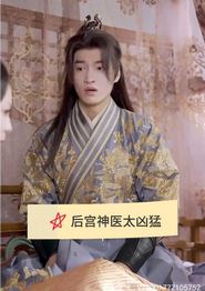 后宫神医太凶猛
