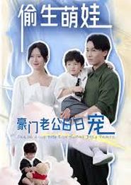 偷生萌娃，豪门老公日日宠