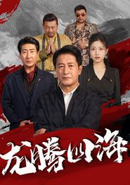 龙腾四海短剧