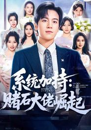 系统加持：赌石大佬崛起