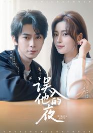 误入他的夜