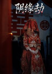 阴缘劫
