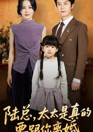 陆总太太是真的要跟你离婚