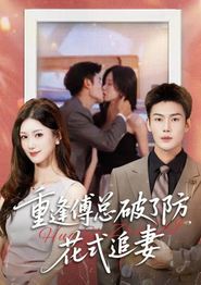 重逢傅总破了防，花式追妻