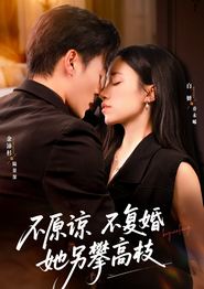 不原谅不复婚她另攀高枝