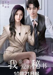 我亲爱的秘书