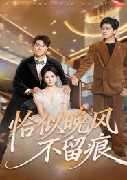 恰似晚风不留痕