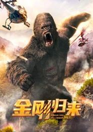 金刚归来2024