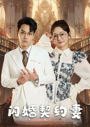 闪婚契约妻
