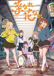 亦叶亦花
