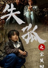 失孤之宝贝回家