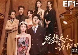 总裁夫人为何那样