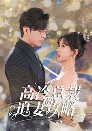 高冷总裁的追妻攻略