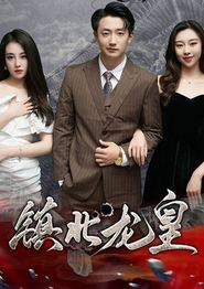 镇北龙皇