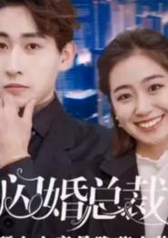 闪婚总裁顾太太竟是隐藏大佬